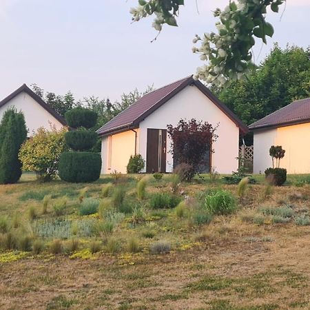 Nadmorskie Slonce Lubin  Exterior photo